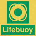 lifebuoy-with-symbol~